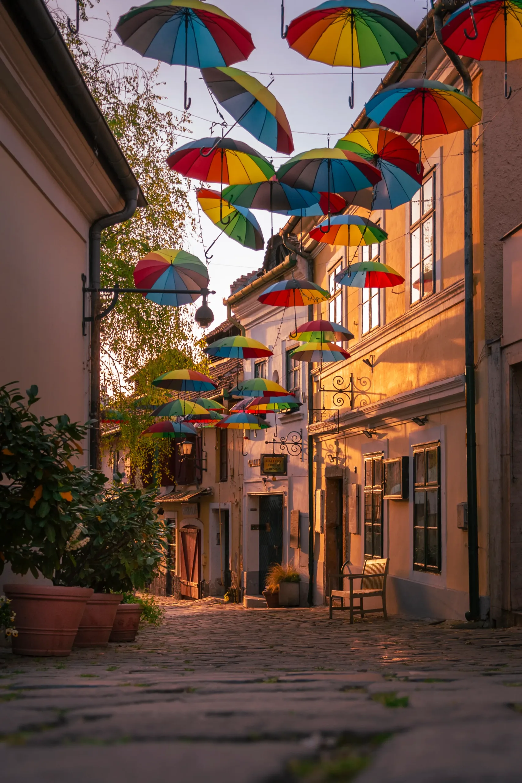 Szentendrei napfelkelte a napernyők alatt